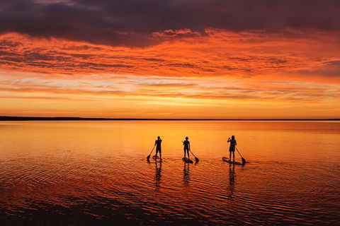 Stand Up Paddle Board Hire - Accommodation Sunshine Coast 2