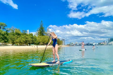 Stand Up Paddle Board Hire - Accommodation Sunshine Coast 3