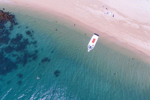 Fozzy\'s 3 Hour, 3 Island Tour - Accommodation Sunshine Coast 0