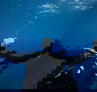 3- Day Advanced Open Water Diver Course on the Gold Coast - Accommodation Sunshine Coast