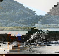 Sightseeing Tour - Full Day - Accommodation Sunshine Coast