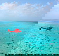Port Douglas - Cruise and 10 Minute Scenic Flight - Accommodation Sunshine Coast