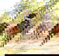 Ride the Outback at Ironbark House Dimbulah Horse Riding - Accommodation Sunshine Coast
