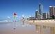 Surf Lesson & Gold Coast Tour - thumb 2