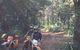 One Day Guided Dirt Bike Tour In The Magnificent Glasshouse Mountains Forests. - thumb 4