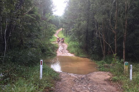 One Day Guided Dirt Bike Tour In The Magnificent Glasshouse Mountains Forests. - Accommodation Sunshine Coast 3