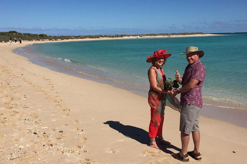 Elope In Paradise - Weddings At Mission Beach - Accommodation Sunshine Coast 6
