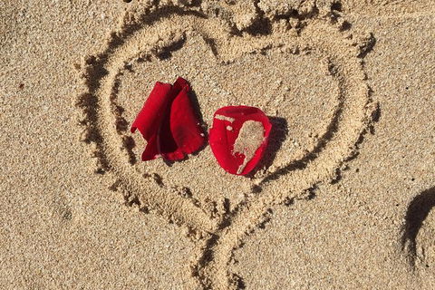 Elope In Paradise - Weddings At Mission Beach - Accommodation Sunshine Coast 3