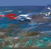 Helicopter and Cruise Packages From Port Douglas - Accommodation Sunshine Coast