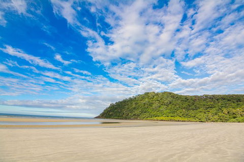 Daintree Afternoon Nocturnal Nature And Wildlife Tour - Accommodation Sunshine Coast 8