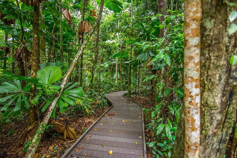 Daintree Afternoon Nocturnal Nature And Wildlife Tour - Accommodation Sunshine Coast 9