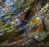 4-Day Australian Outback Tour from the Gold Coast to Sydney - Accommodation Sunshine Coast