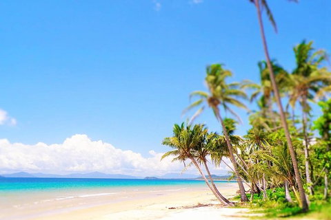 Airport Transfer - Mission Beach To Cairns Airport - Accommodation Sunshine Coast 3