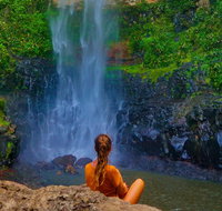 Private Tour - Rainforest  Waterfalls Extravaganza - Accommodation Sunshine Coast