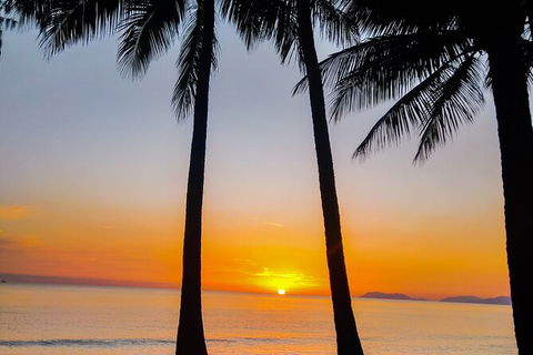 Airport Transfers Between Cairns Airport And Palm Cove - Accommodation Sunshine Coast 4