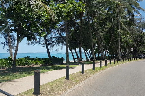 Airport Transfers Between Cairns Airport And Palm Cove - Accommodation Sunshine Coast 6