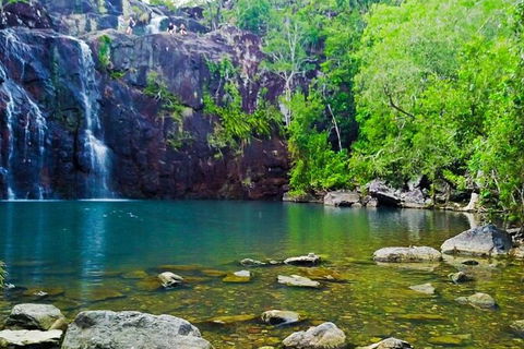 Reef, Wildlife & Rainforest - Reef & Beyond Guided Holidays - Accommodation Sunshine Coast 0