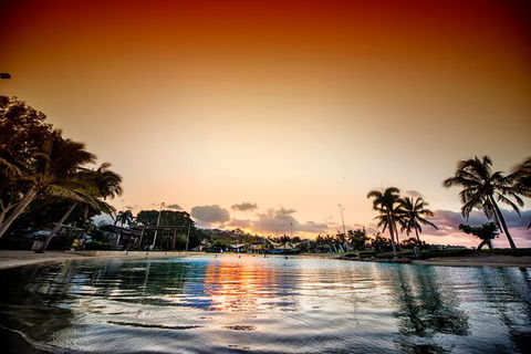 Reef, Wildlife & Rainforest - Reef & Beyond Guided Holidays - Accommodation Sunshine Coast 6