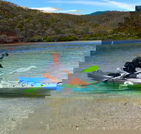 Guided Kayak Tour - Accommodation Sunshine Coast