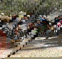 Gold Coast Mountain Bike Tour - Accommodation Sunshine Coast