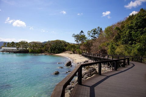 Rainforest To Reef Experience - Reef And Beyond Guided Holidays - Accommodation Sunshine Coast 4