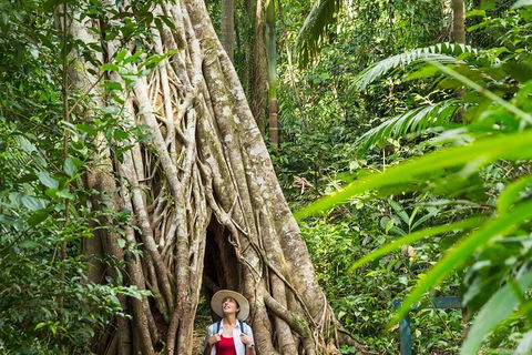 Rainforest To Reef Experience - Reef And Beyond Guided Holidays - Accommodation Sunshine Coast 2