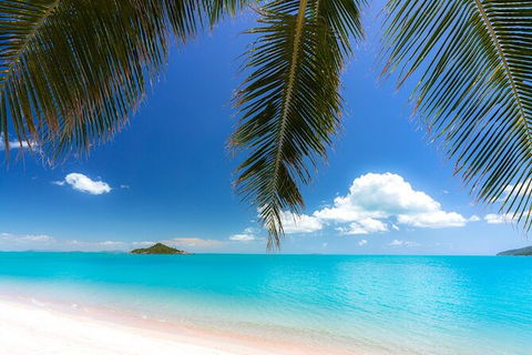 Rainforest To Reef Experience - Reef And Beyond Guided Holidays - Accommodation Sunshine Coast 1