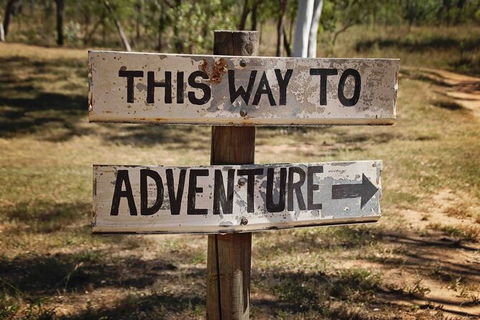 Rainforest To Reef Experience - Reef And Beyond Guided Holidays - Accommodation Sunshine Coast 6
