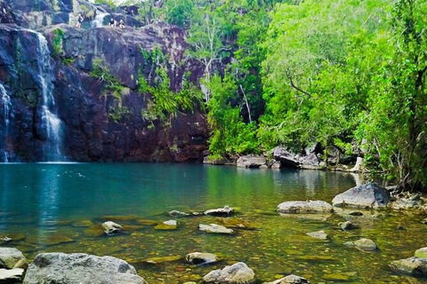 Rainforest To Reef Experience - Reef And Beyond Guided Holidays - Accommodation Sunshine Coast 5
