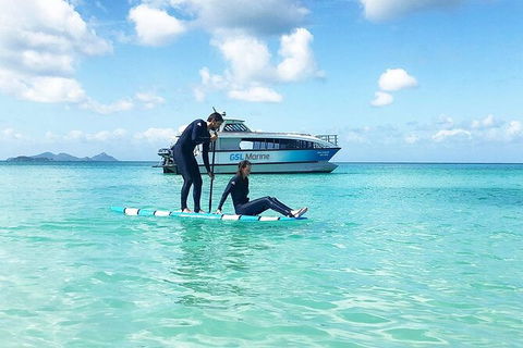 Rainforest To Reef Experience - Reef And Beyond Guided Holidays - Accommodation Sunshine Coast 3