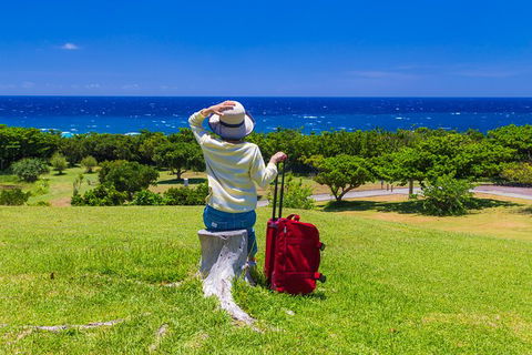 Gold Coast Airport To And From Byron Bay, NSW For Up-to 2 Ppl - Accommodation Sunshine Coast 0