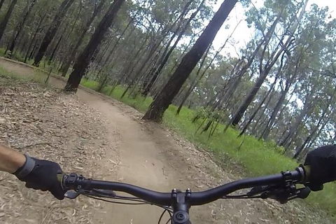 EMtn Bike + Brewery Day Tour - Accommodation Sunshine Coast 6
