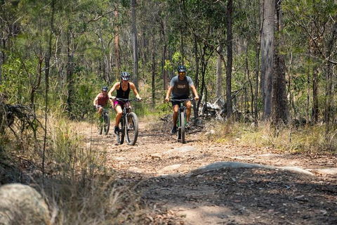 EMtn Bike + Brewery Day Tour - Accommodation Sunshine Coast 21