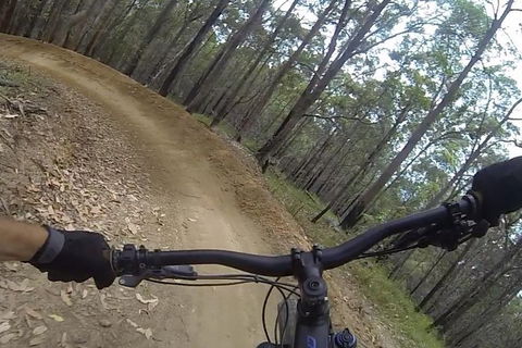EMtn Bike + Brewery Day Tour - Accommodation Sunshine Coast 2