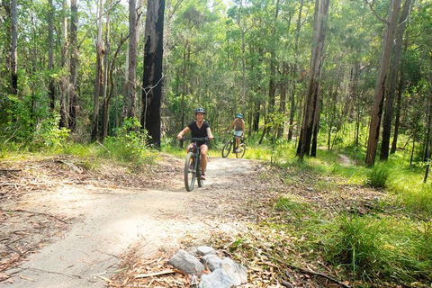 EMtn Bike + Brewery Day Tour - Accommodation Sunshine Coast 1