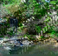 Tamborine Mountain  Gold Coast Tour - Accommodation Sunshine Coast