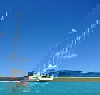 Sailing Curlew Escape on Moreton Bay - Accommodation Sunshine Coast