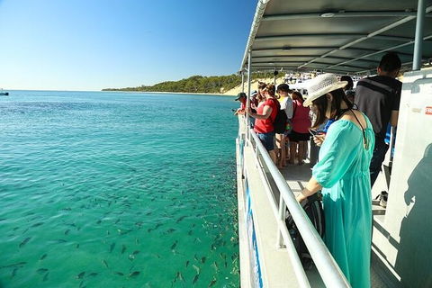 Adventure Moreton Island Wrecks Adventure Package - Accommodation Sunshine Coast 0