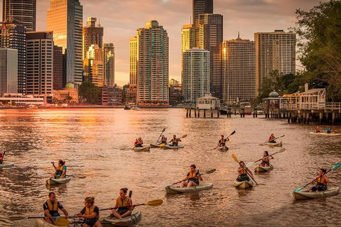 Brisbane City Twilight Kayaking With Wine And Grazing Board - Accommodation Sunshine Coast 0
