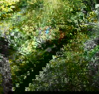 OReillys Rainforest Retreat and Winery Day Tour from Nerang - Accommodation Sunshine Coast