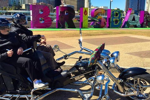 Unique Vehicle Tour Around Brisbane - Accommodation Sunshine Coast 3