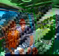 Sightseeing Kuranda Self-Driving Tour - Accommodation Sunshine Coast