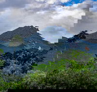 Port Douglas Daintree National Park Boutique Full-Day Tour - Accommodation Sunshine Coast