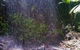 Full-Day Guided Sightseeing Tour Of The Gold Coast Waterfalls - thumb 5