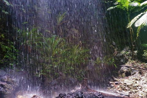 Full-Day Guided Sightseeing Tour Of The Gold Coast Waterfalls - Accommodation Sunshine Coast 5