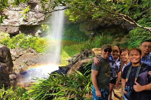 Full-Day Guided Sightseeing Tour Of The Gold Coast Waterfalls - Accommodation Sunshine Coast 3