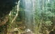 Full-Day Guided Sightseeing Tour Of The Gold Coast Waterfalls - thumb 4