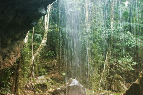 Full-Day Guided Sightseeing Tour Of The Gold Coast Waterfalls - Accommodation Sunshine Coast 4