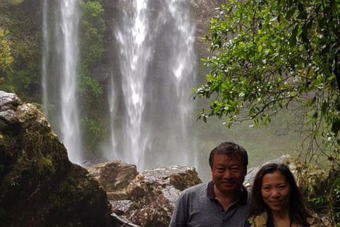 Full-Day Guided Sightseeing Tour Of The Gold Coast Waterfalls - Accommodation Sunshine Coast 1