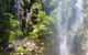 Full-Day Guided Sightseeing Tour Of The Gold Coast Waterfalls - thumb 2